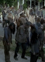 twd0608-3284.jpg