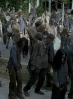 twd0608-3285.jpg