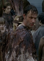 twd0608-3313.jpg