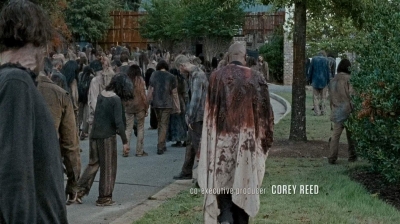 twd0609-0797.jpg