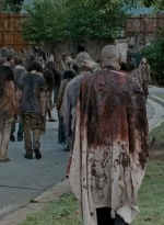 twd0609-0795.jpg