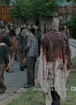 twd0609-0798.jpg