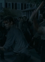 twd0609-2530.jpg