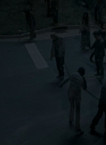 twd0609-2737.jpg