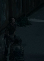 twd0609-2760.jpg