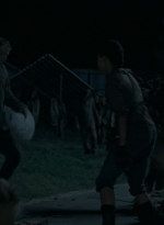 twd0609-2905.jpg