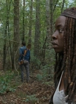 twd0610-1330.jpg