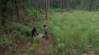 twd0612-1960.jpg