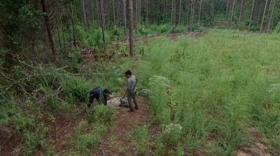 twd0612-1965.jpg