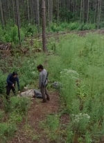 twd0612-1960.jpg