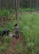 twd0612-1961.jpg