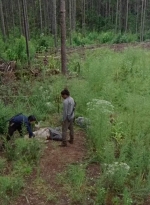 twd0612-1962.jpg