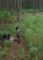 twd0612-1965.jpg