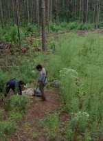 twd0612-1966.jpg