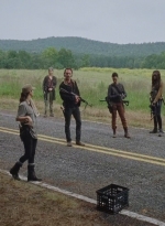 twd0612-1988.jpg