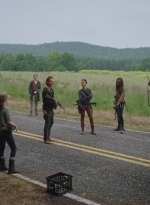 twd0612-1993.jpg