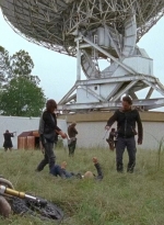 twd0612-3737.jpg