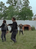 twd0612-3748.jpg