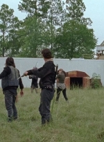 twd0612-3749.jpg