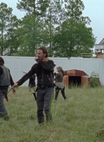 twd0612-3751.jpg