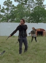 twd0612-3761.jpg