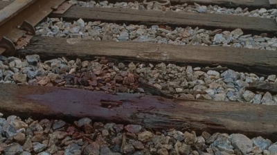 twd0615-2291.jpg