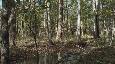 twd0615-2604.jpg