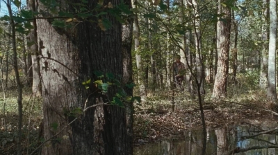 twd0615-2613.jpg