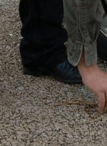 twd0615-2239.jpg