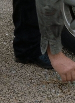 twd0615-2240.jpg