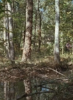 twd0615-2596.jpg