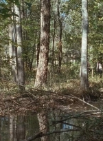 twd0615-2600.jpg