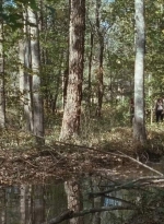 twd0615-2601.jpg