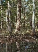 twd0615-2602.jpg