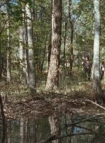 twd0615-2603.jpg