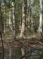 twd0615-2604.jpg