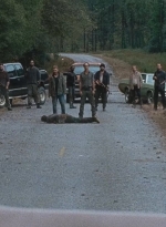 twd0616-1000.jpg