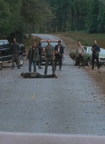 twd0616-1002.jpg