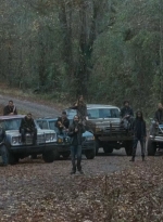 twd0616-2010.jpg