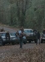 twd0616-2011.jpg