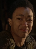 twd0701-1211.jpg