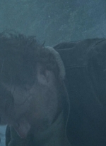 twd0701-1325.jpg