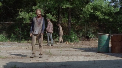 twd0702-0936.jpg