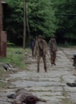 twd0702-0062.jpg