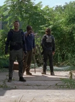 twd0702-0939.jpg