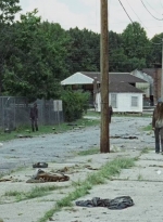 twd0702-1070.jpg