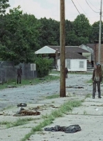 twd0702-1071.jpg