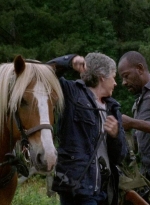 twd0702-2897.jpg