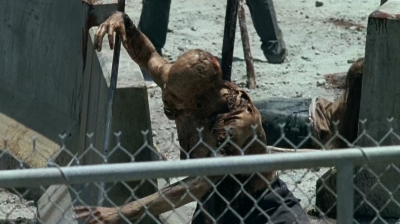 twd0703-0185.jpg