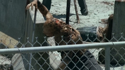 twd0703-0186.jpg